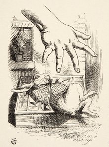 アリスが白ウサギを落とす 作： John Tenniel
